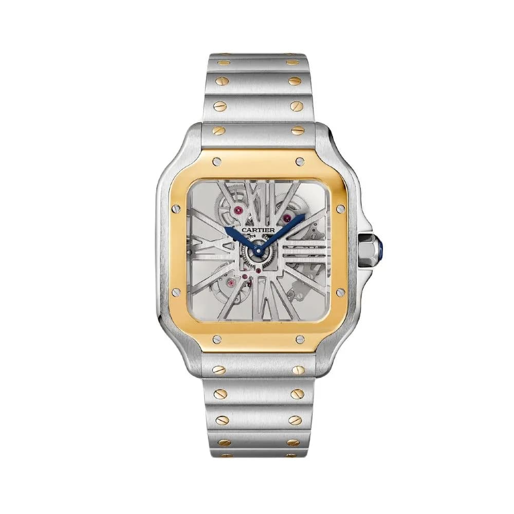 Cartier Montre Santos de Cartier