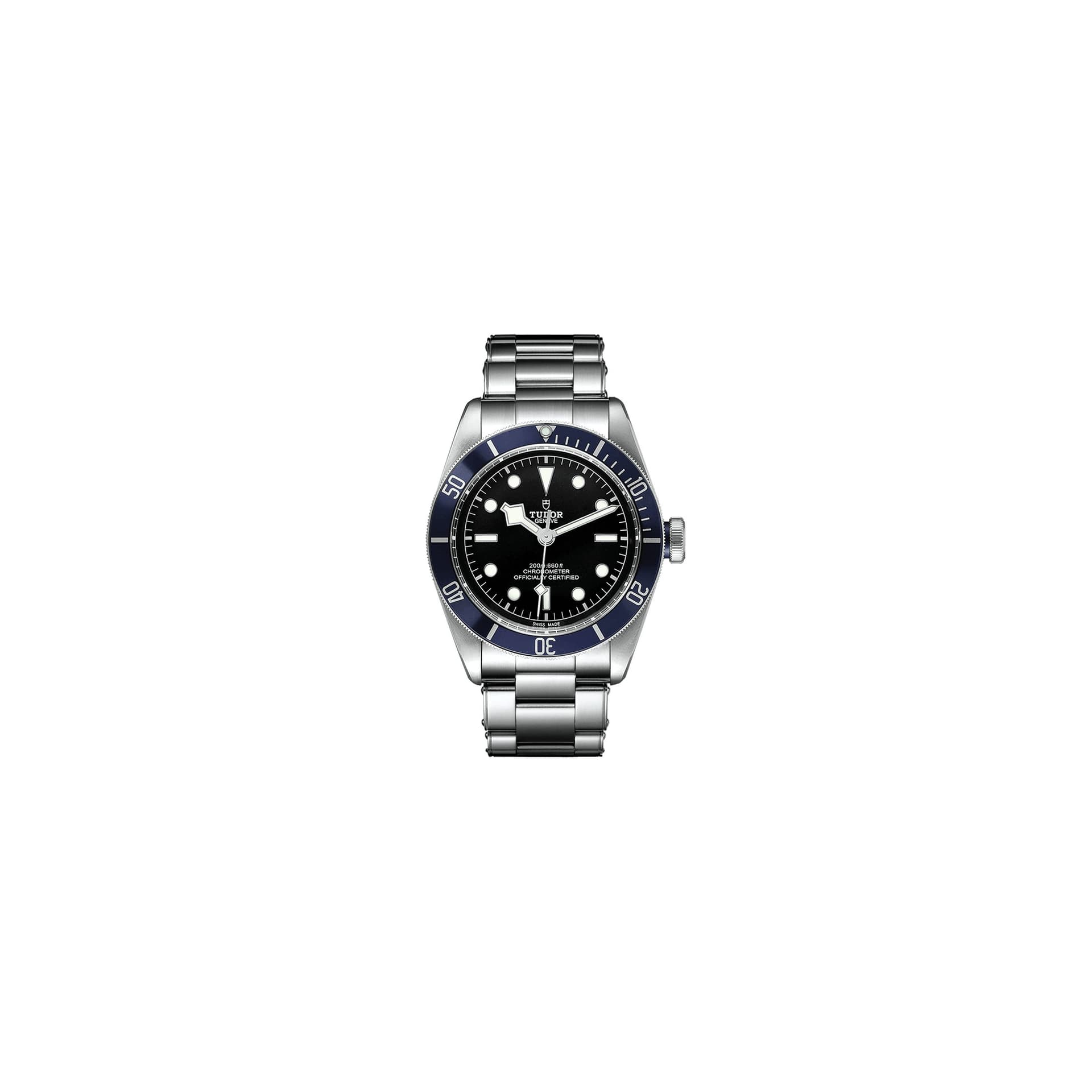 Tudor Black Bay — acier