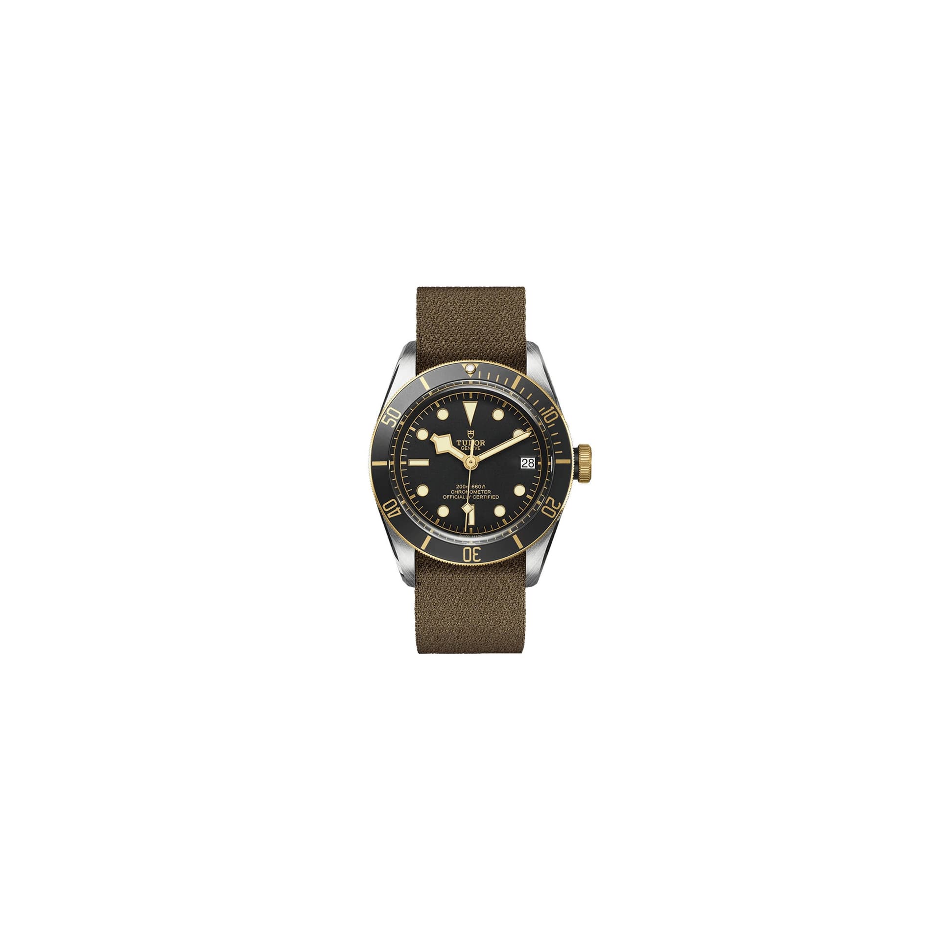 Tudor Black Bay S&G