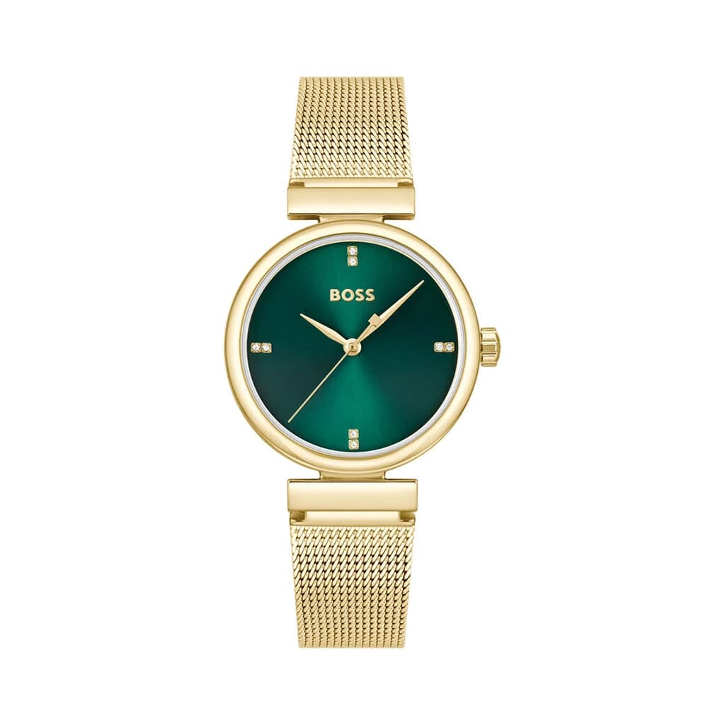 Hugo Boss Montre Boss Rosehill Vert
