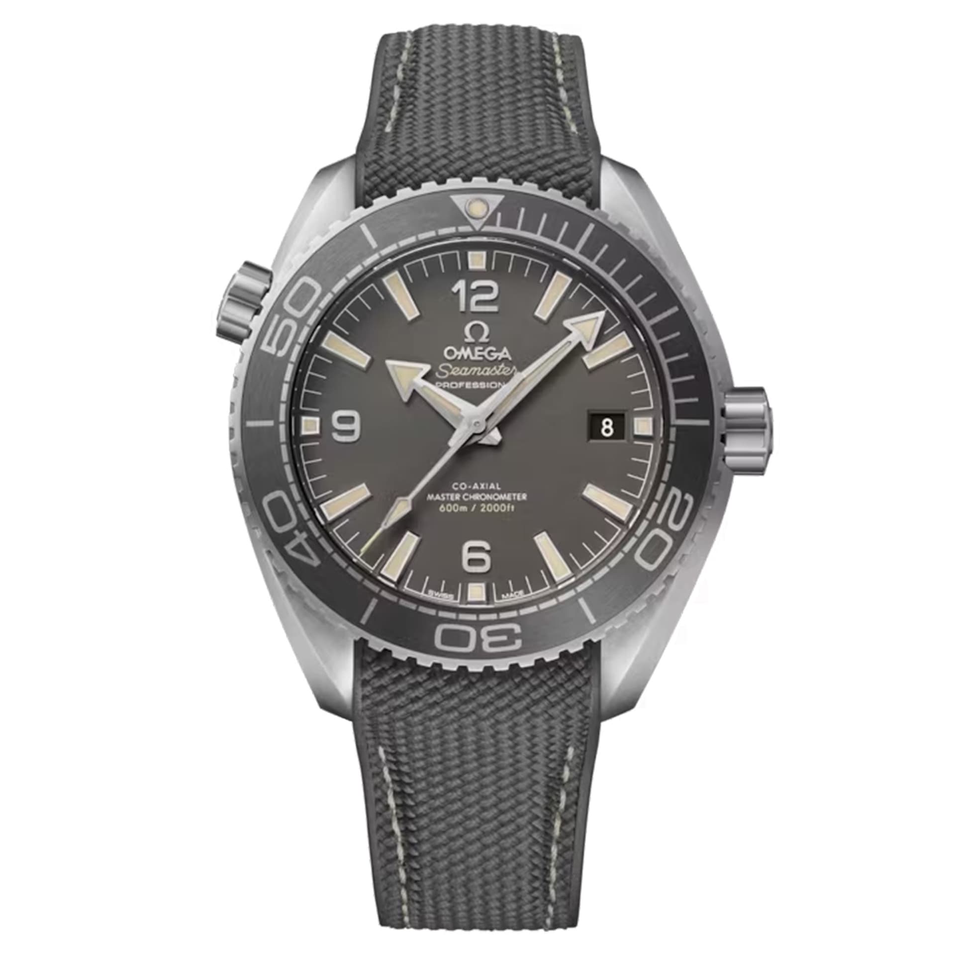 Omega Seamaster Planet Ocean 600m — cadran gris
