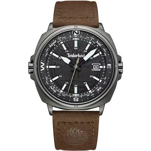 Timberland Montre Timberland Williston - TDWGB2230801