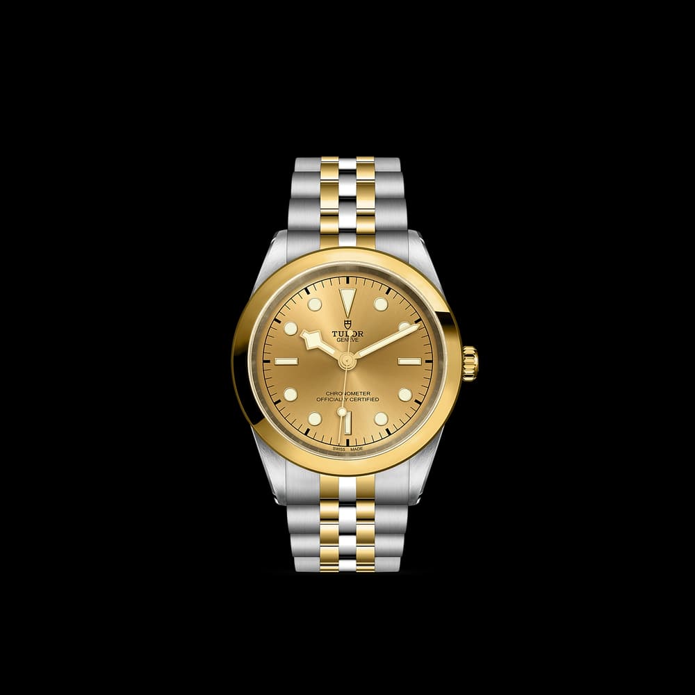 Tudor Black Bay One 41 S&G