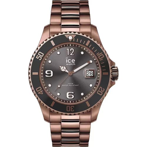 Ice Watch Montre Homme ICE-WATCH en Métal Marron Etanche