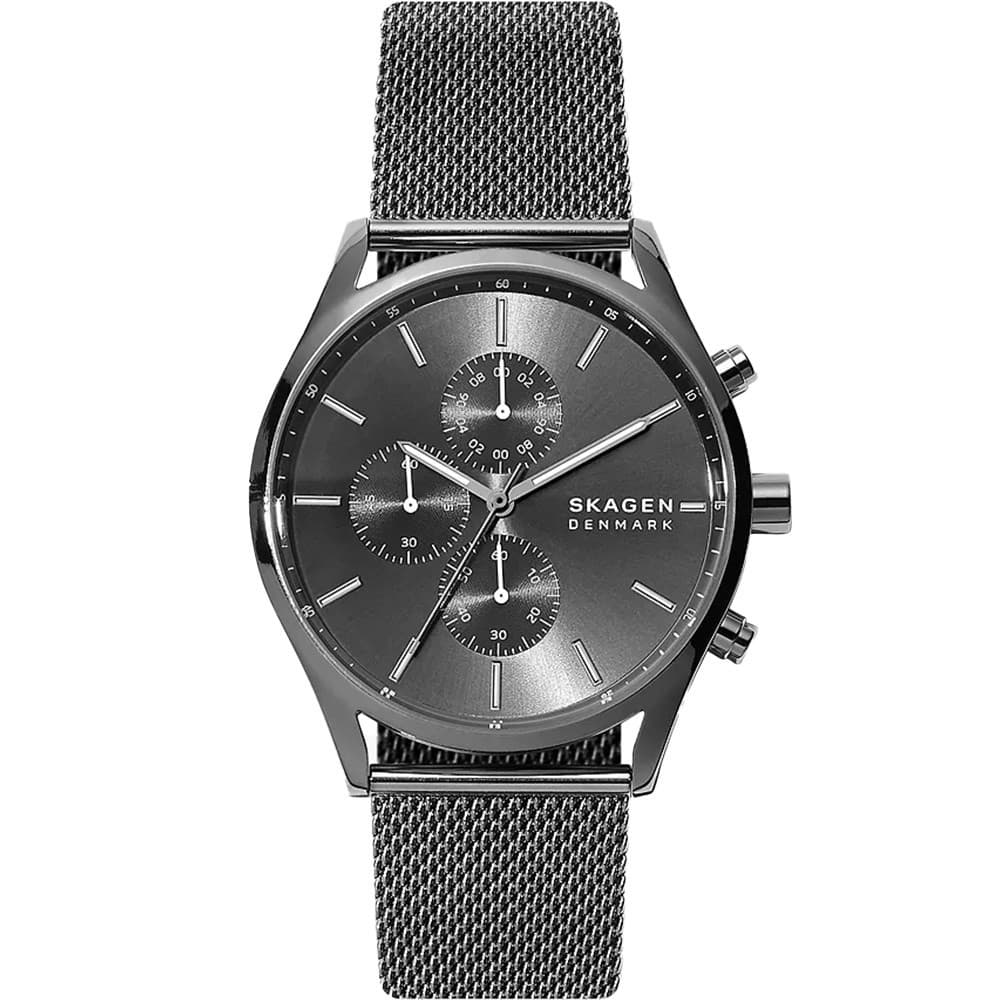 Skagen Montre Skagen en Acier Gris