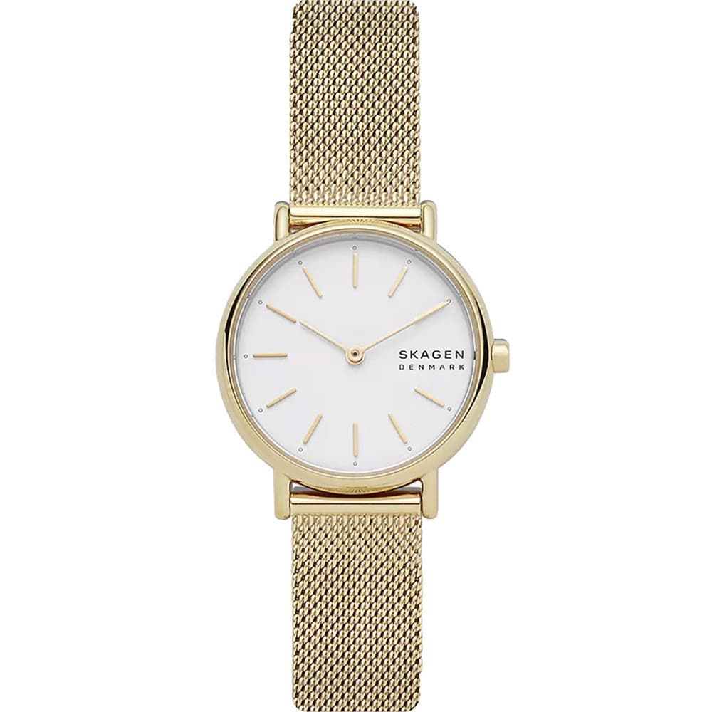 Skagen Montre Skagen en Acier Doré