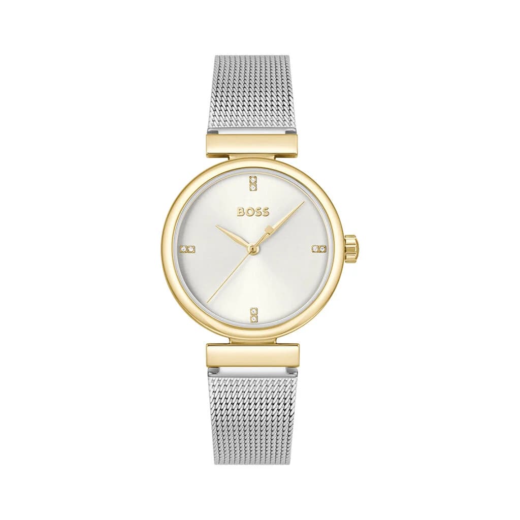 Hugo Boss Montre Boss Rosehill Blanc