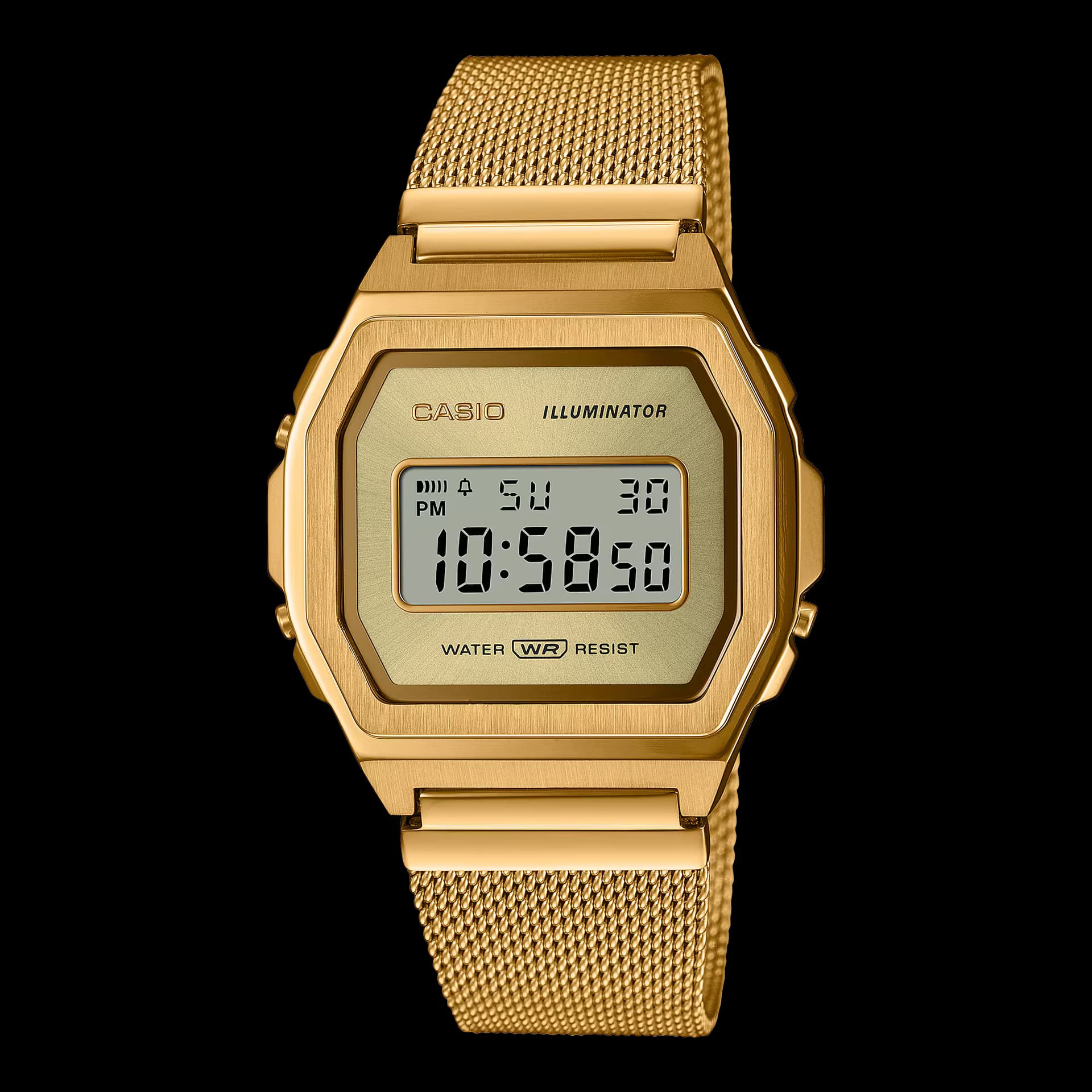 Casio A1000MG-9