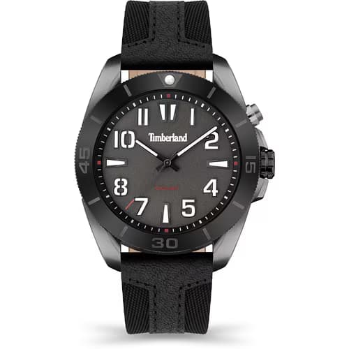 Timberland Montre Timberland Warrick - TDWGP2201601