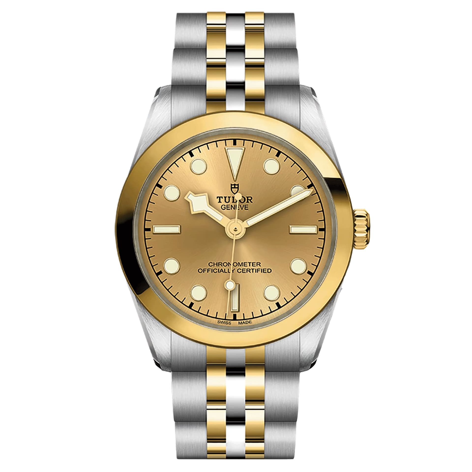 Tudor Black Bay One 31 S&G