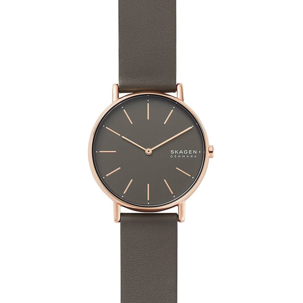 Skagen Montre Skagen en Cuir Gris