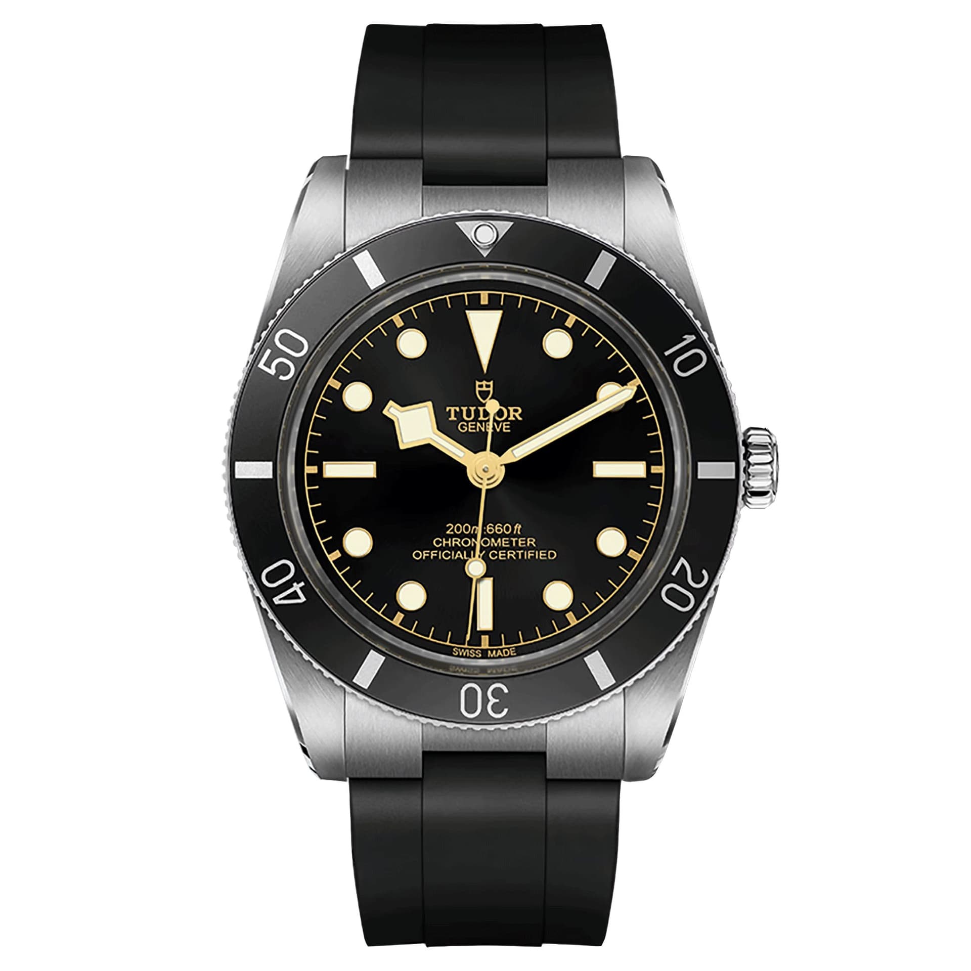 Tudor Black Bay 54 — boîtier argenté