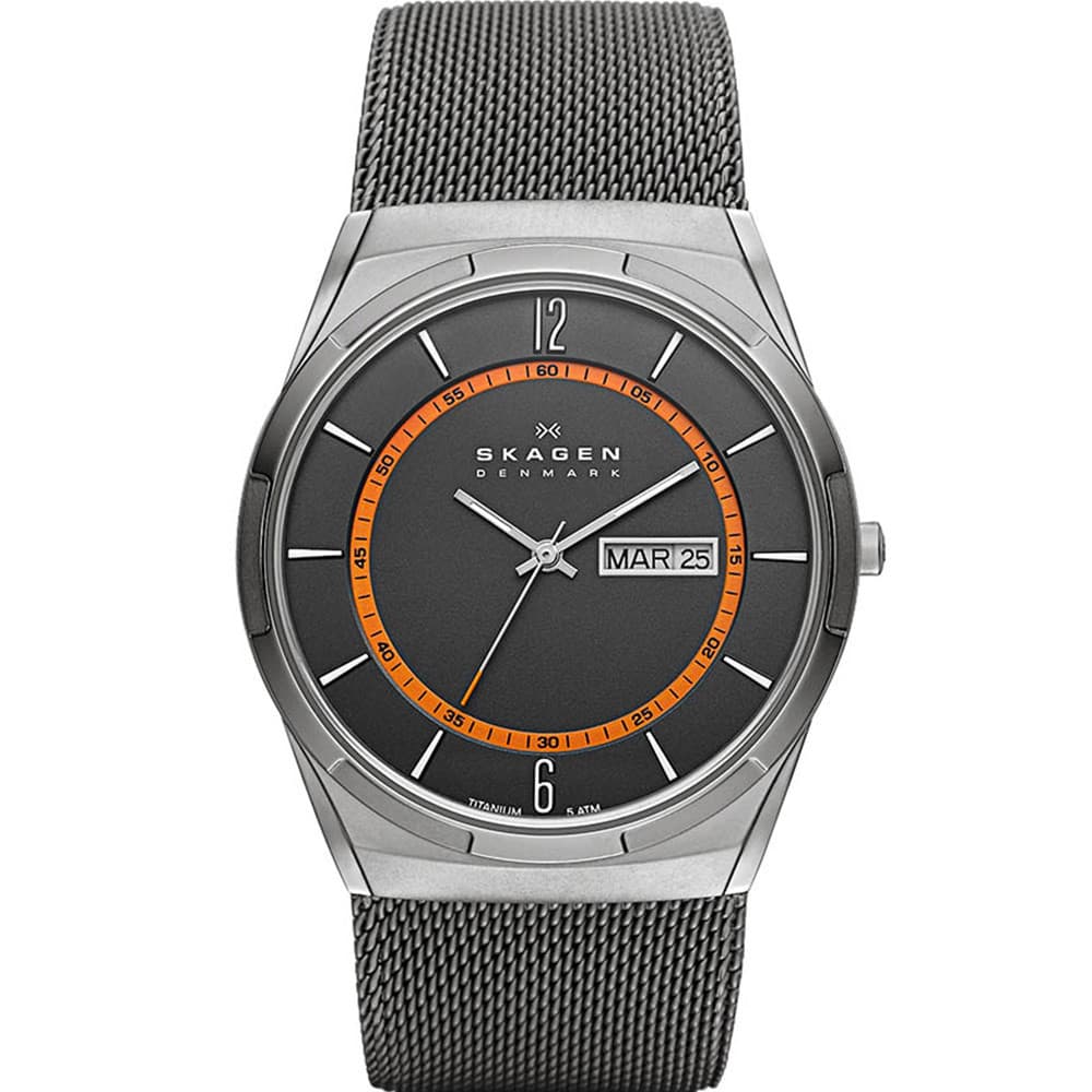 Skagen Montre Skagen en Acier Gris
