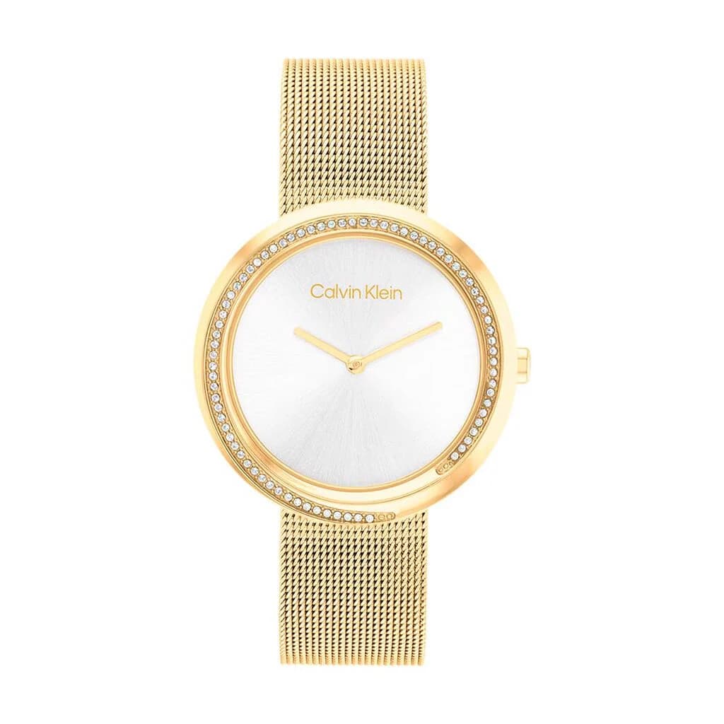 Calvin Klein Montre Calvin Klein Twist Argenté