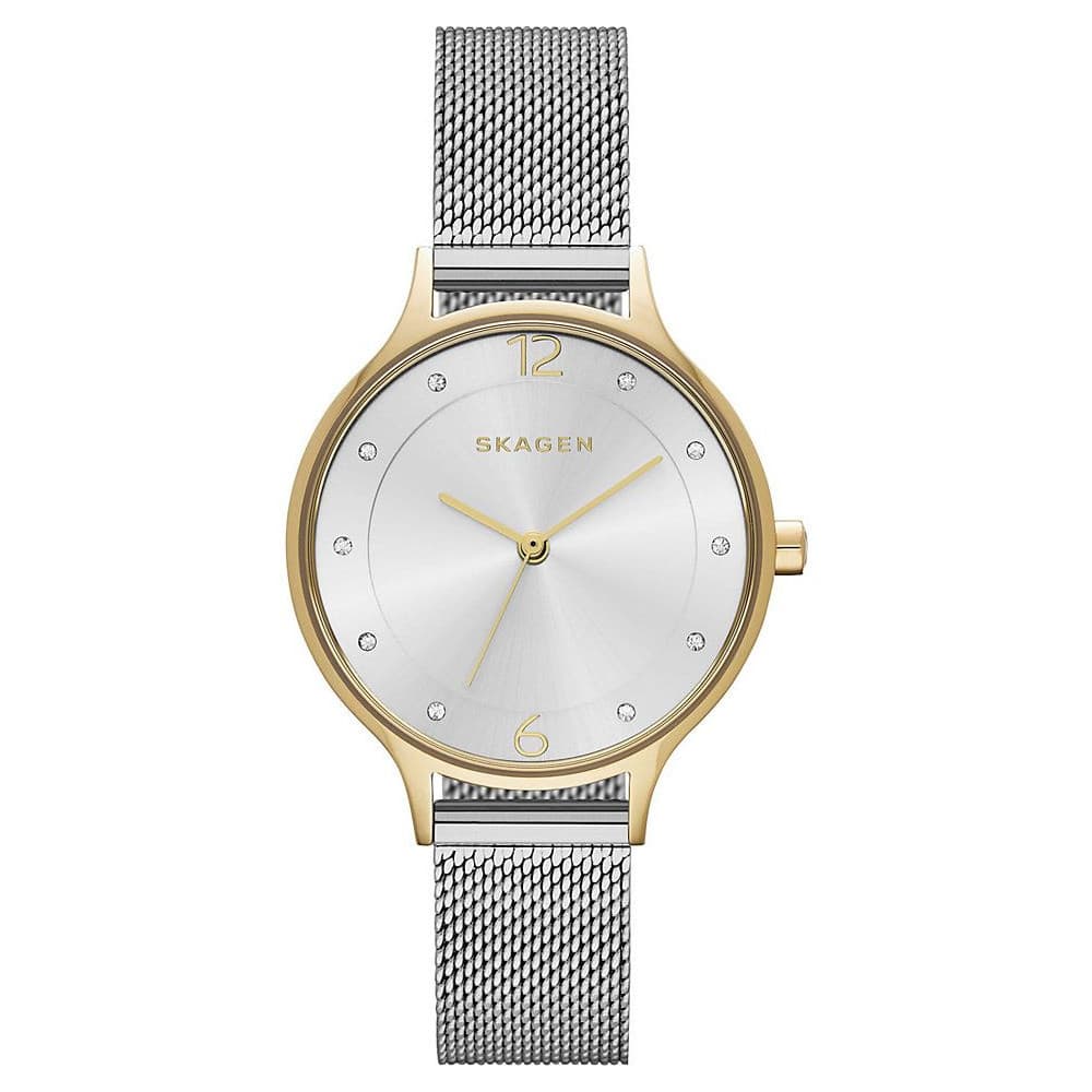 Skagen Montre Skagen en Acier Argenté