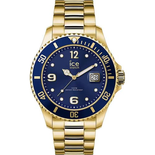 Ice Watch Montre Homme ICE-WATCH en Métal Jaune Etanche