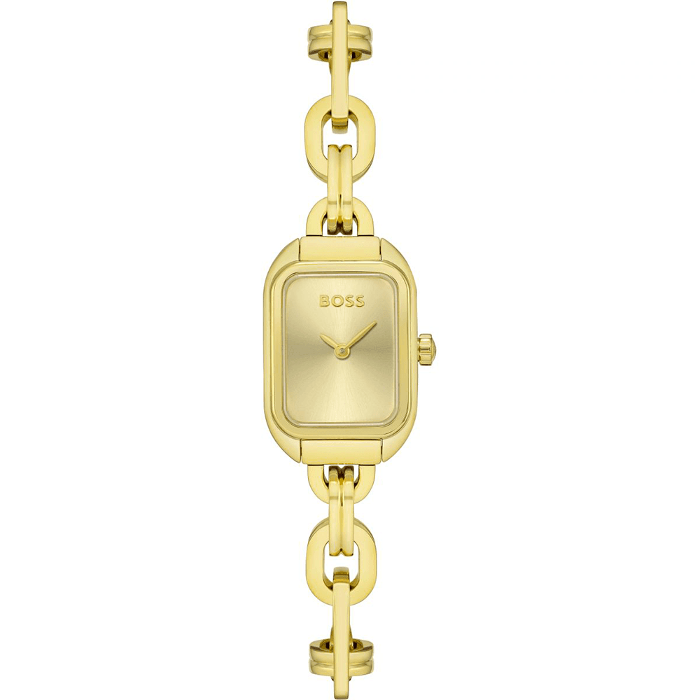 Hugo Boss Montre Boss Collection Business en Métal Doré