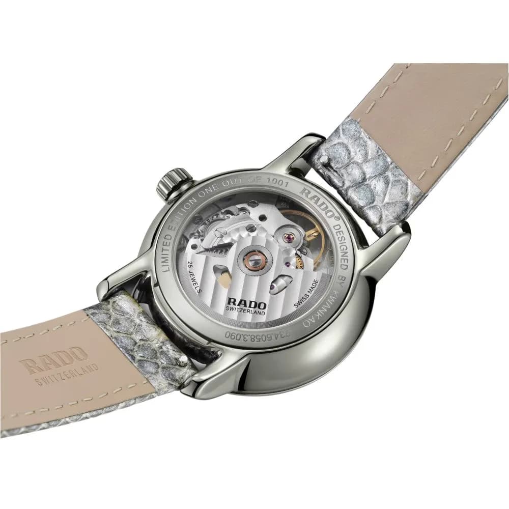 Rado DiaMaster Prajun