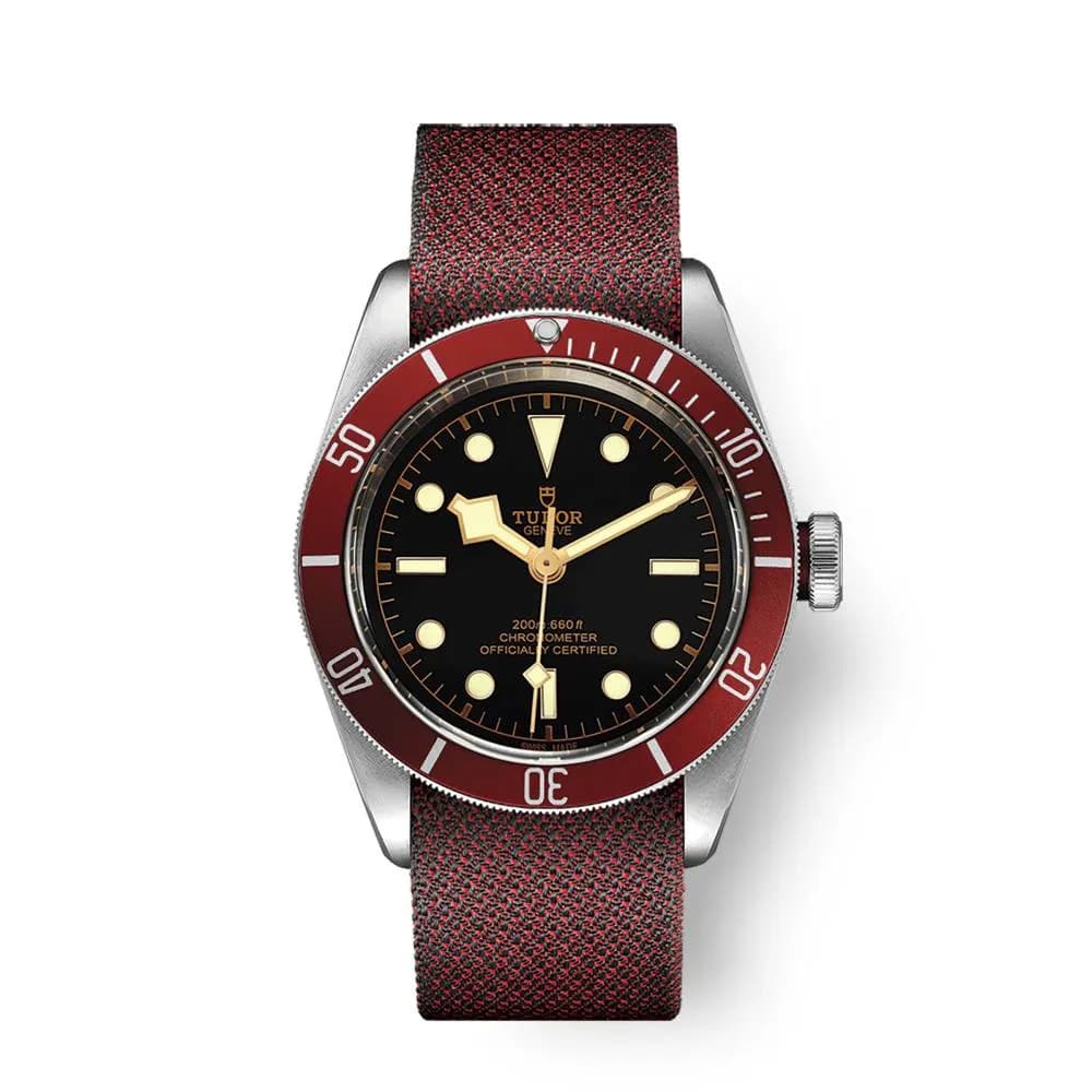 Tudor Black Bay