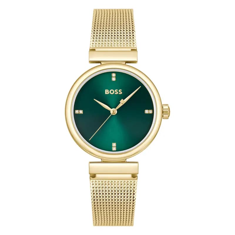 Hugo Boss Montre Rosehill 1502855