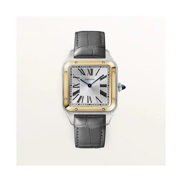 Cartier Montre Santos-Dumont
