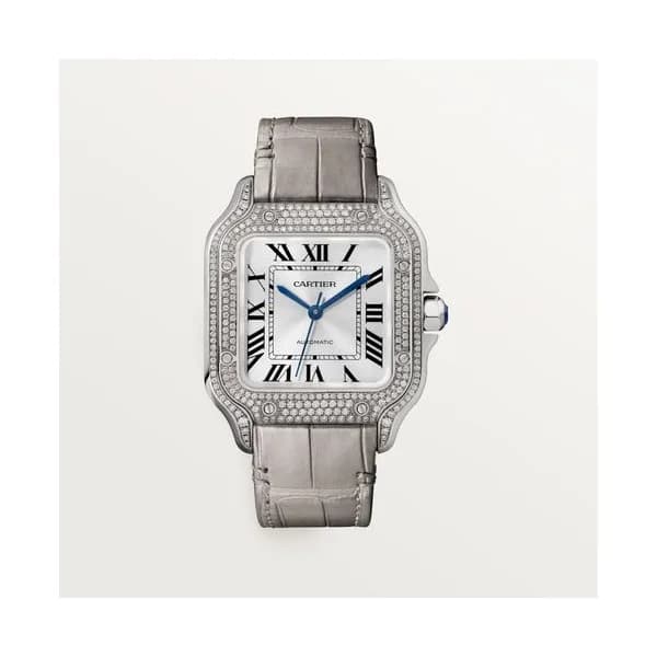 Cartier Montre Santos de Cartier