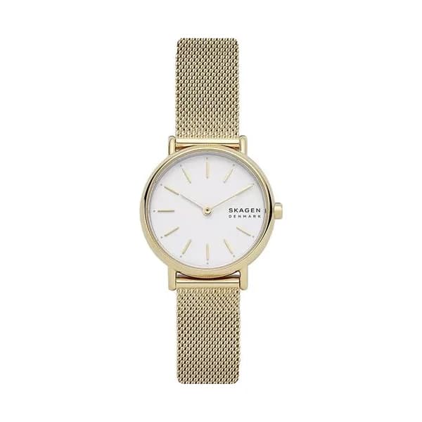 Skagen Montre Skagen en Acier Doré