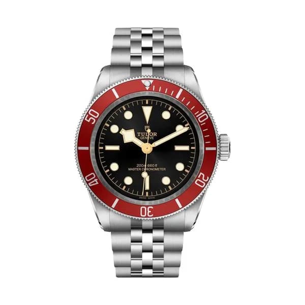 Tudor Black Bay