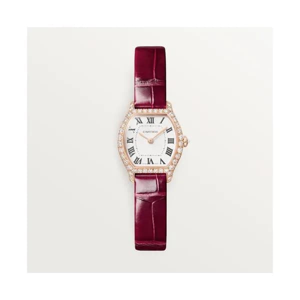 Cartier Montre Tortue