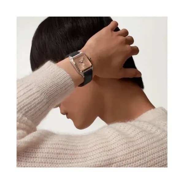 Cartier Montre Santos-Dumont