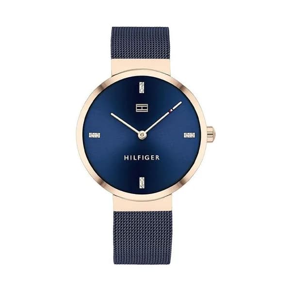 Tommy Hilfiger Montre Tommy Hilfiger en Acier Bleu