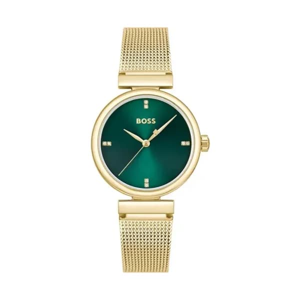 Hugo Boss Montre Boss Rosehill Vert