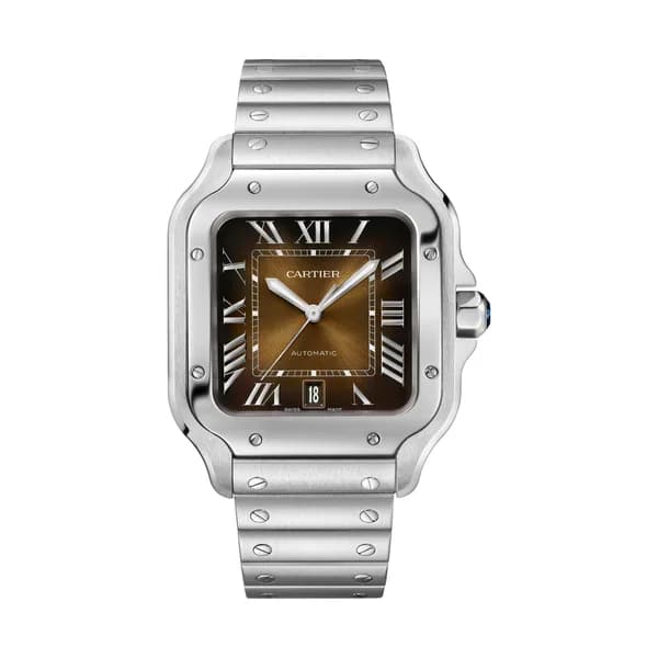 Cartier Montre quartz Homme Santos Marron