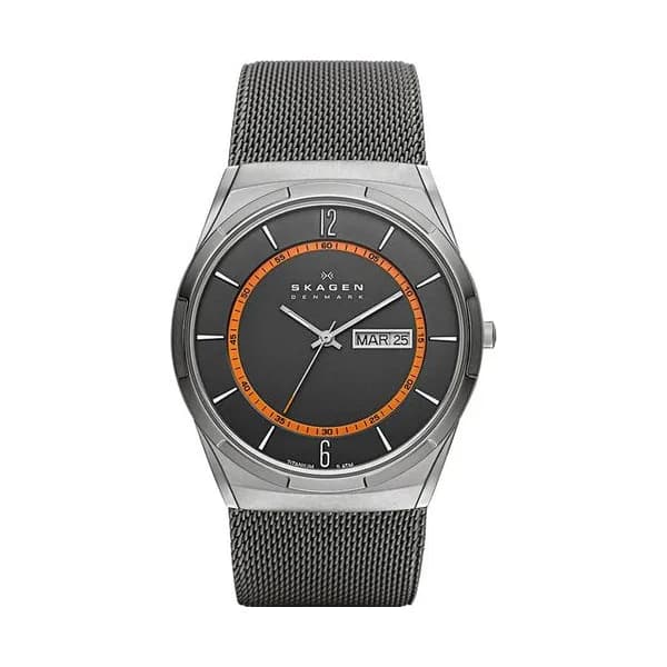 Skagen Montre Skagen en Acier Gris