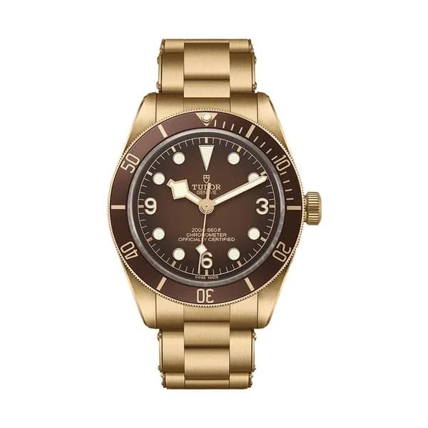 Tudor Black Bay 58 Bronze