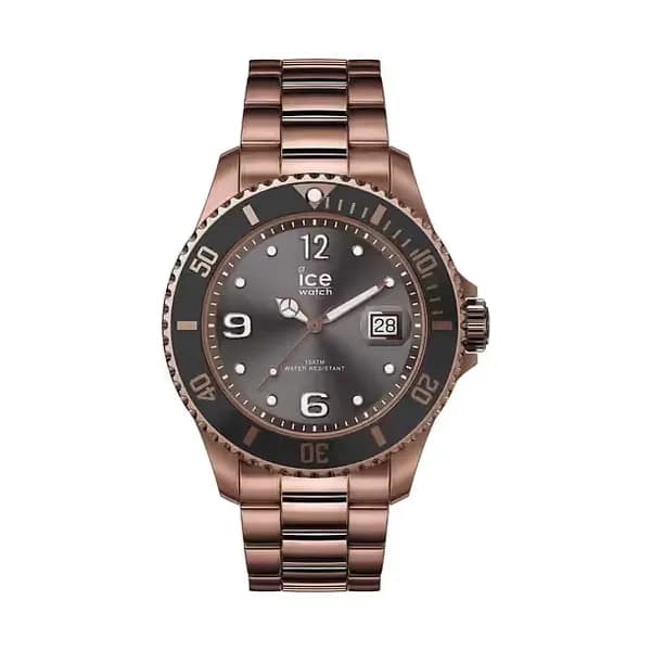 Ice Watch Montre Homme ICE-WATCH en Métal Marron Etanche