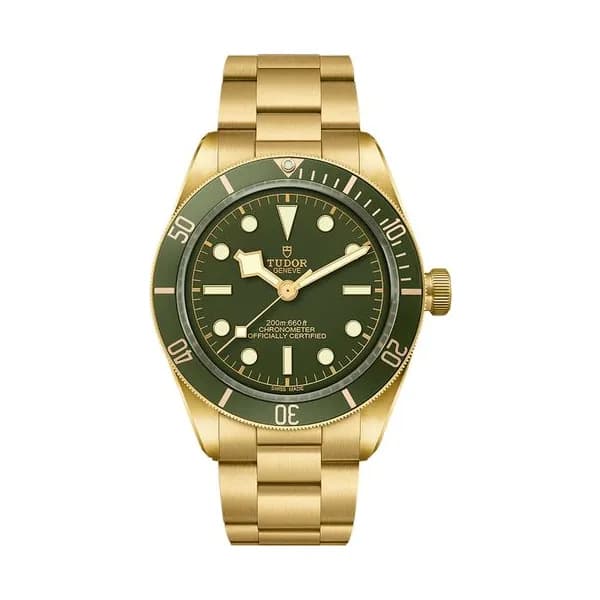 Tudor Black Bay 58 18K