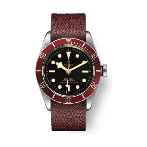Tudor Black Bay