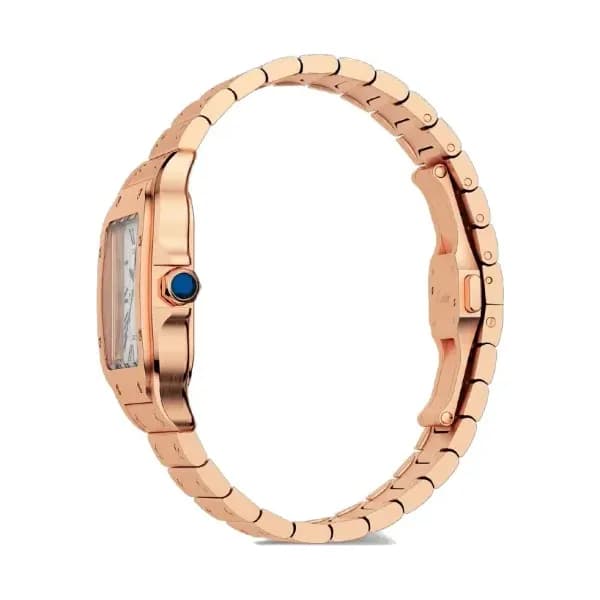 Cartier Montre Santos de Cartier