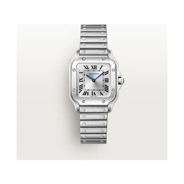 Cartier Montre Santos de Cartier