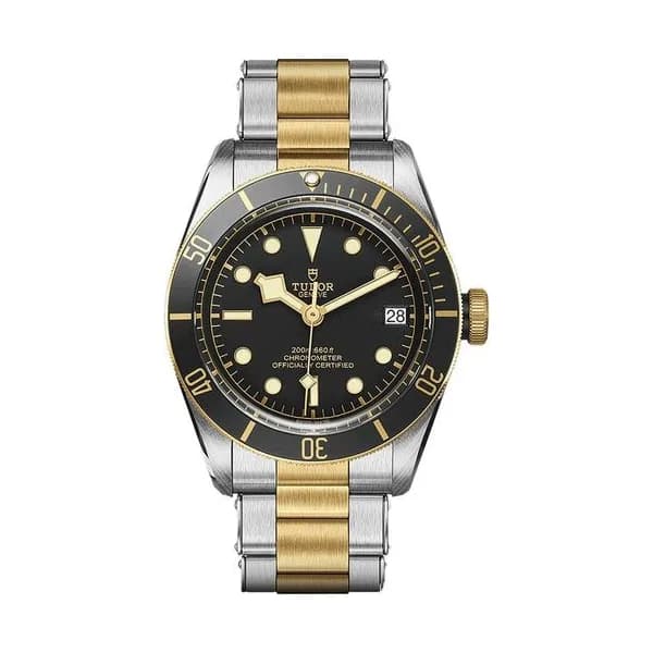 Tudor Black Bay S&G