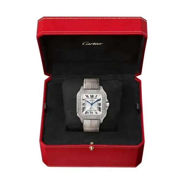 Cartier Montre Santos de Cartier