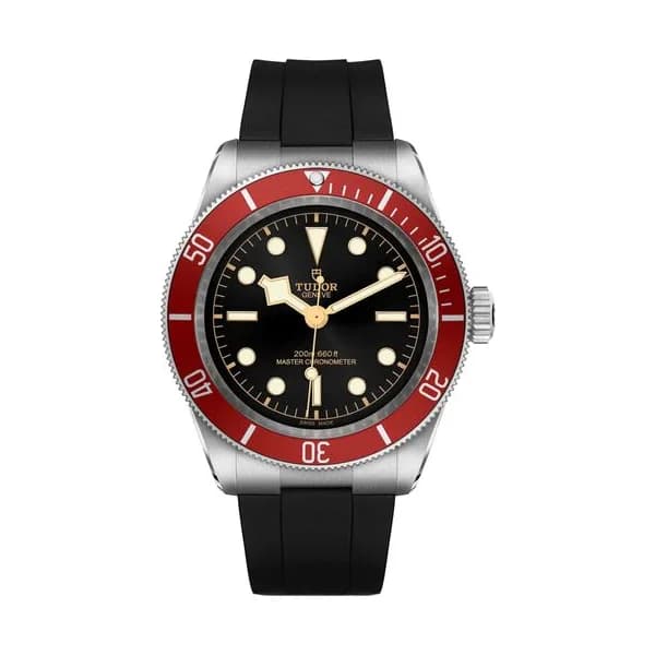 Tudor Black Bay
