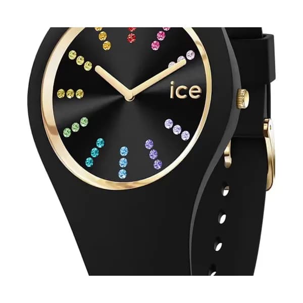 Ice Watch Montre Ice-Watch - 021343