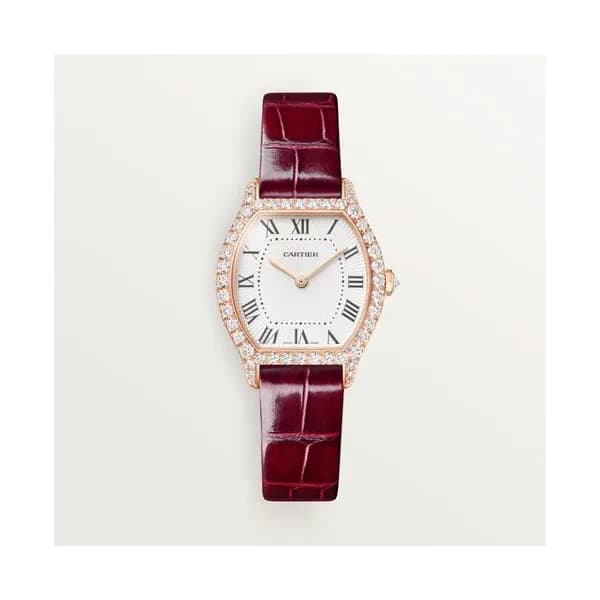 Cartier Montre Tortue
