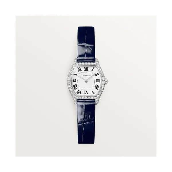 Cartier Montre Tortue