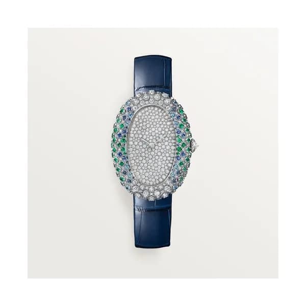 Cartier Montre Baignoire