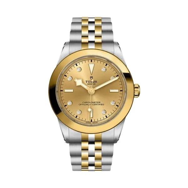 Tudor Black Bay One 39 S&G