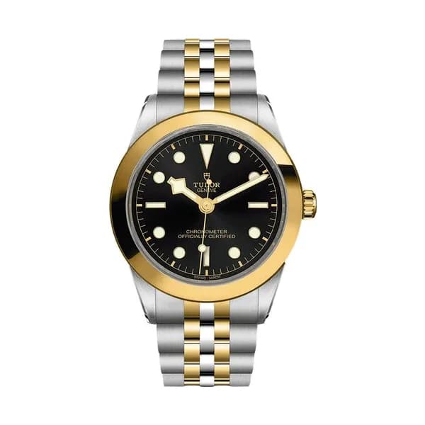 Tudor Black Bay One 39 S&G