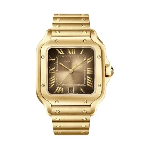 Cartier Montre Santos de Cartier
